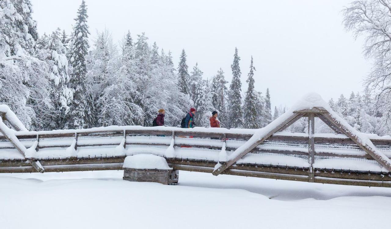 Villa Terra Ultima Rovaniemi Exterior foto